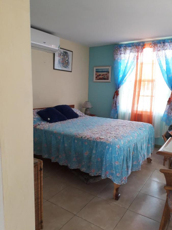 Seacastle Deluxe Studio Montego Bay Zewnętrze zdjęcie