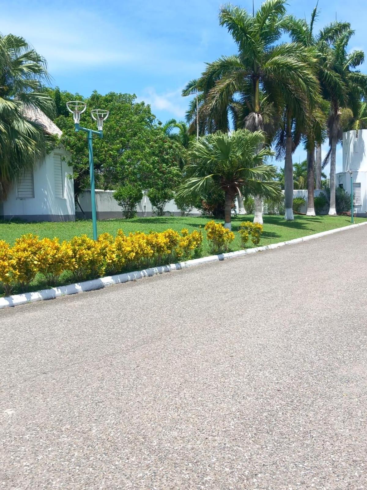Seacastle Deluxe Studio Montego Bay Zewnętrze zdjęcie